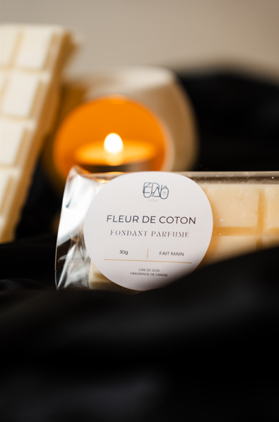 Tablette fondants parfumés 30g